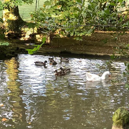 Hotel La Fresnaie : ,table D'hotes & Tillé