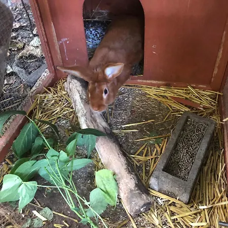 La Fresnaie : ,table D'hotes & Hotel