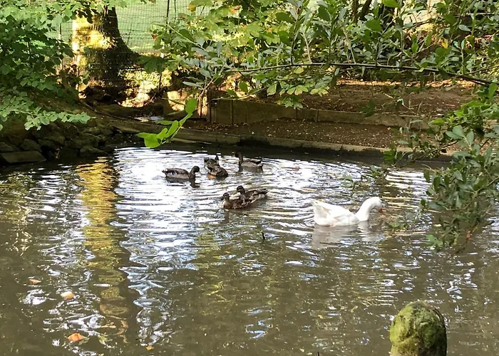 Hotel La Fresnaie : ,table D'hotes & Tille